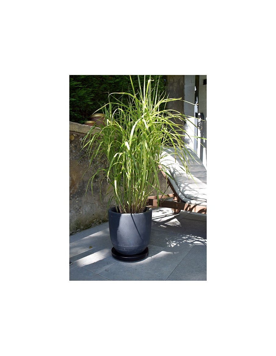 Support pour plantes "Contemporain" Louis Moulin Support jardinière