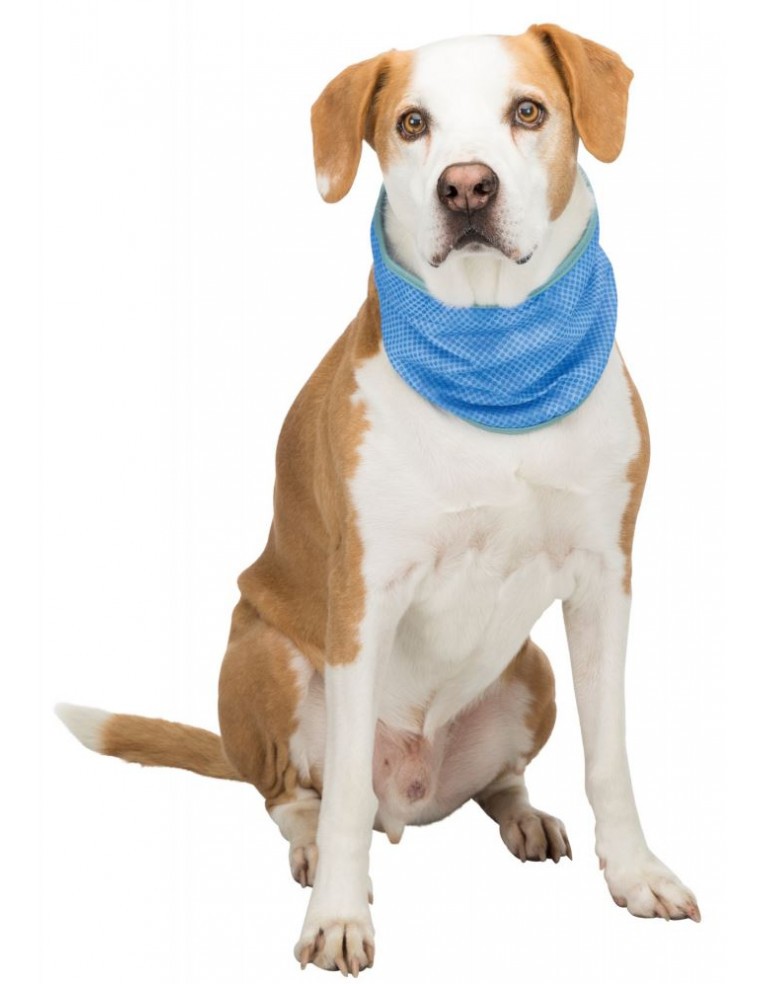 Bandana pour chien Trixie Accessoires "Cool"