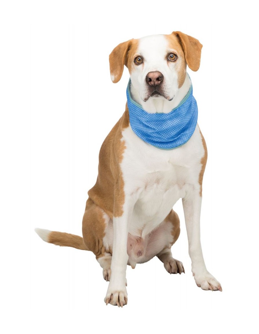 Bandana pour chien Trixie Accessoires "Cool"