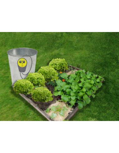 Programmateur pompe à pile - Jardibric Jardibric Programmateur arrosage