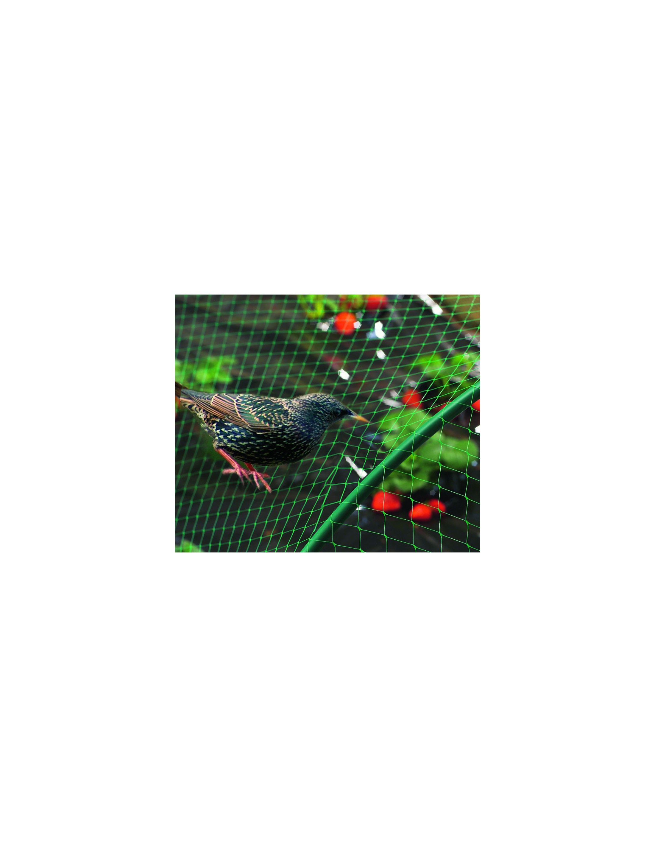 Filet de jardin pour oiseaux avec cordon de serrage pour arbres fruitiers  pour protéger les plantes, les fruits, les fleurs contre les cigales, les  insectes et les oiseaux (2 pièces, 71 x