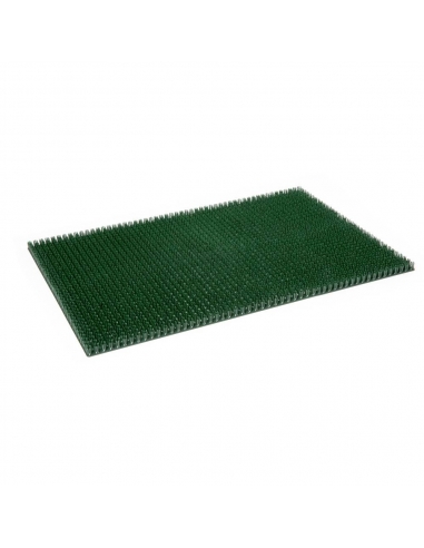 Tapis Grattoir Easygrat Coryl Tapis et paillasson