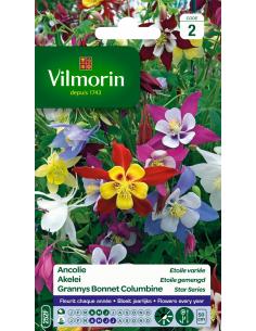 Ancolie étoilée variée Vilmorin Graines de plante fleurie