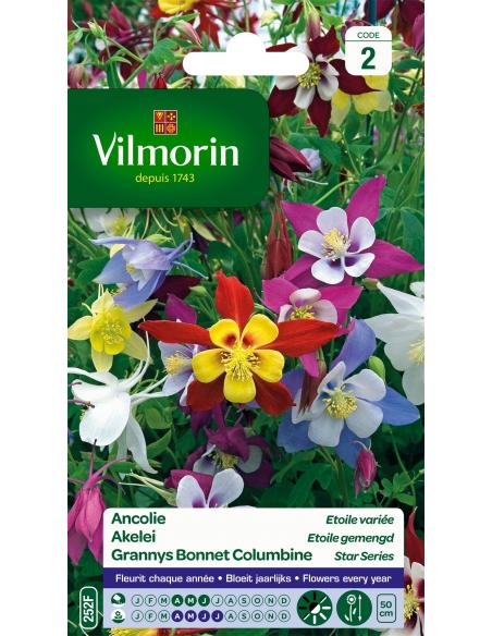 Ancolie étoilée variée Vilmorin Graines de plante fleurie
