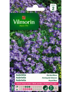 Aubrieta roi des bleus Vilmorin Graines de plante fleurie