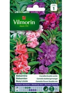 Balsamine camélia double Vilmorin Graines de plante fleurie