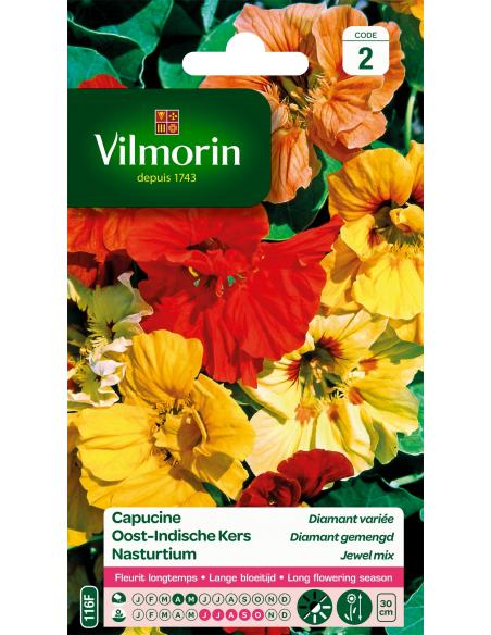 Capucine diamant varié Vilmorin Graines de plante fleurie