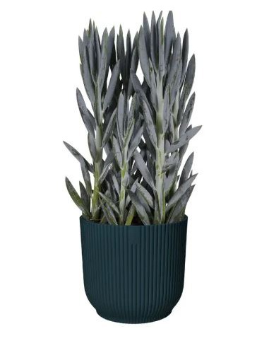 Cache-pot Vibes Fold - Elho Elho Pot et bac en plastique rond