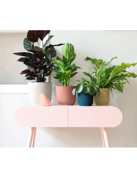 Cache-pot Vibes Fold - Elho Elho Pot et bac en plastique rond