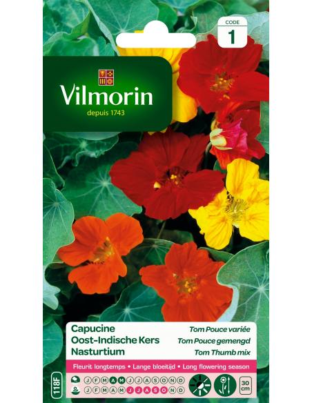 Capucine naine tom pouce variée Vilmorin Graines de plante fleurie