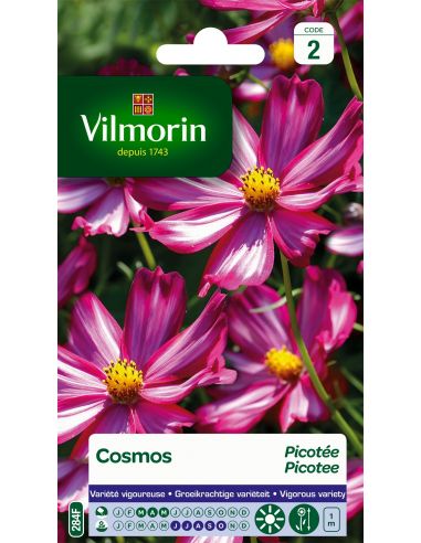 Cosmos picotée Vilmorin Graines de plante fleurie