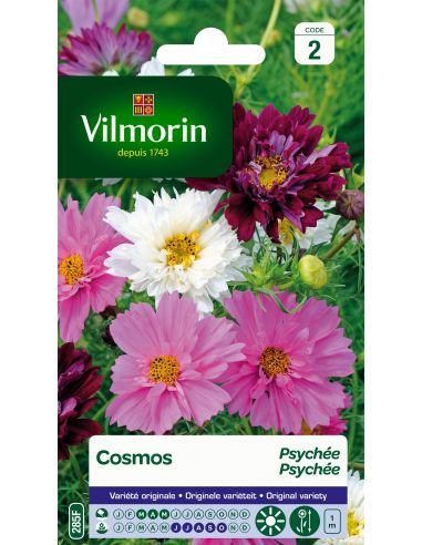 Cosmos psychée varié Vilmorin Graines de plante fleurie