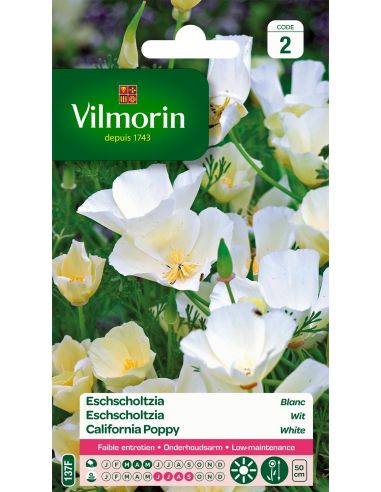 Eschscholtzia blanc Vilmorin Graines de plante fleurie