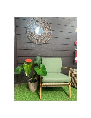 Anthurium  Plante terre de bruyère