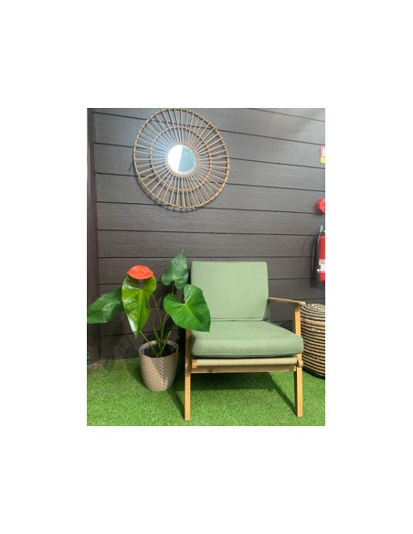 Anthurium  Plante terre de bruyère