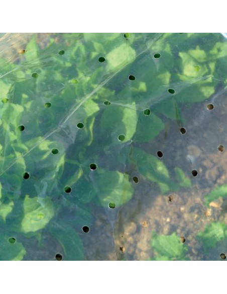 Tunnel accordéon 3m - Film perforé - Nortene Nortène Film et filet de protection