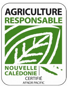 Citron vert - 20L  Arbres, arbustes et fruitiers 2