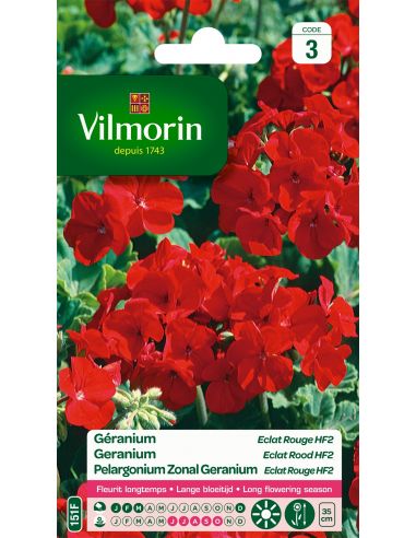 Géranium éclat rouge Vilmorin Graines de plante fleurie