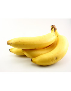 Bananier "Williams" - 10 litres  Arbres, arbustes et fruitiers 2