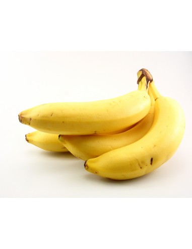 Bananier "Williams" - 10 litres  Arbres, arbustes et fruitiers