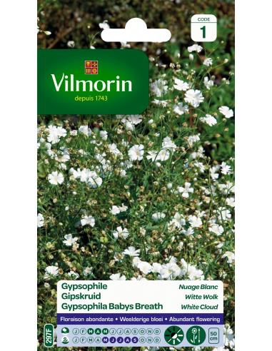 Gypsophile nuage blanc Vilmorin Graines de plante fleurie