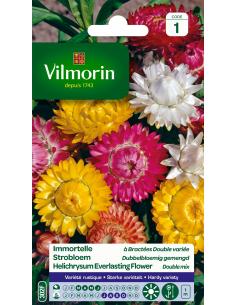 Immortelle Bractée double variée Vilmorin Graines de plante fleurie