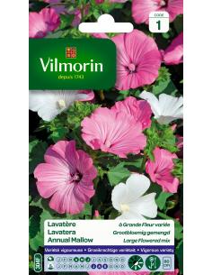 Lavatère à grandes fleurs variées - Vilmorin Vilmorin Graines de plante fleurie