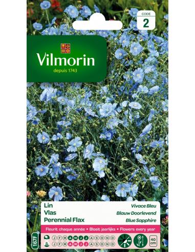 Lin vivace bleu Vilmorin Graines de plante fleurie