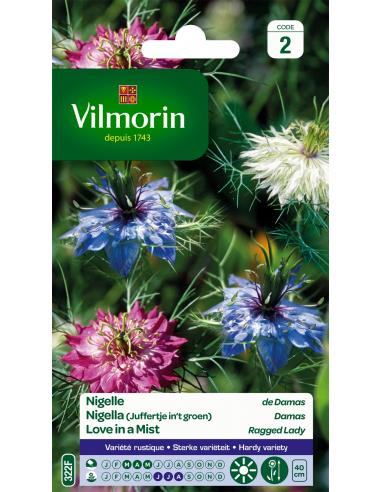 Nigelle de Damas Vilmorin Graines de plante fleurie