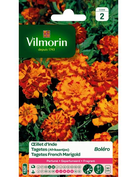 Oeillet d'Inde boléro Vilmorin Graines de plante fleurie