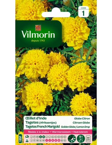 Oeillet d'Inde globe citron Vilmorin Graines de plante fleurie