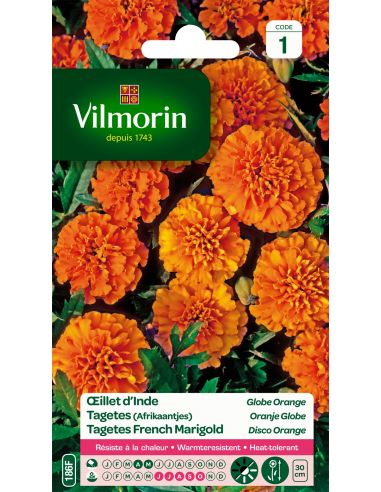 Oeillet d'Inde globe orange Vilmorin Graines de plante fleurie