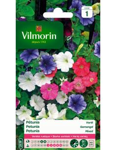 Petunia varié Vilmorin Graines de plante fleurie