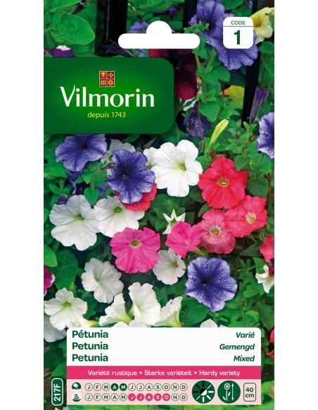 Petunia varié Vilmorin Graines de plante fleurie