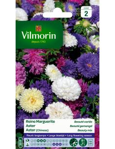 Reine Marguerite Beauté variée Vilmorin Graines de plante fleurie