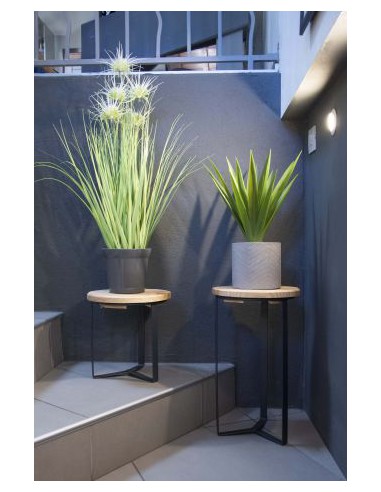 Sellette industrielle - Louis Moulin Louis Moulin Support pour bac, pot & jardinière