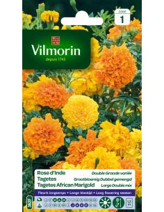 Rose d'Inde double grande variée Vilmorin Graines de plante fleurie