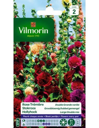 Rose Trémière double grande variée Vilmorin Graines de plante fleurie