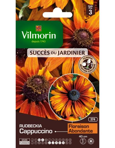 Rudbeckia cappuccino Vilmorin Graines de plante fleurie