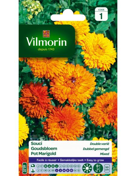 Souci double varié Vilmorin Graines de plante fleurie