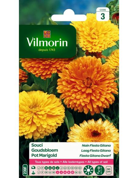 Souci nain fiesta gitan Vilmorin Graines de plante fleurie