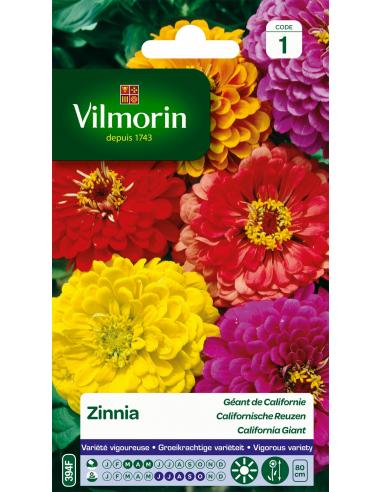 Zinnia Géant de Californie varié Vilmorin Graines de plante fleurie