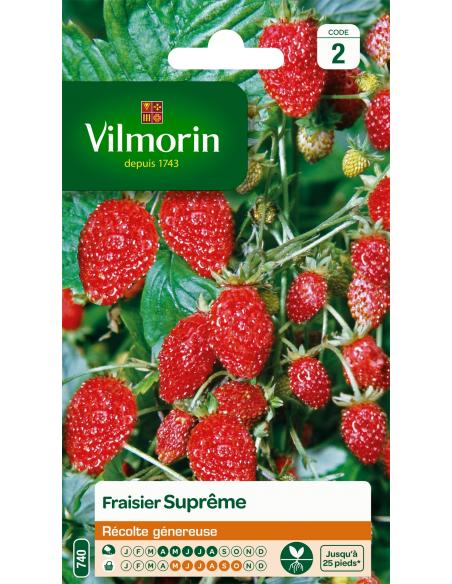 Fraisier Suprème Vilmorin Graines du potager