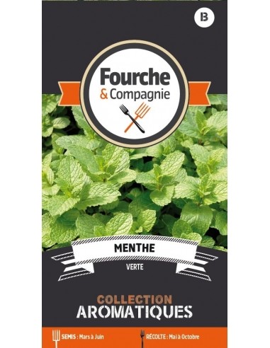 Menthe verte - Fourche & Compagnie Fourche et Compagnie Graine aromatique