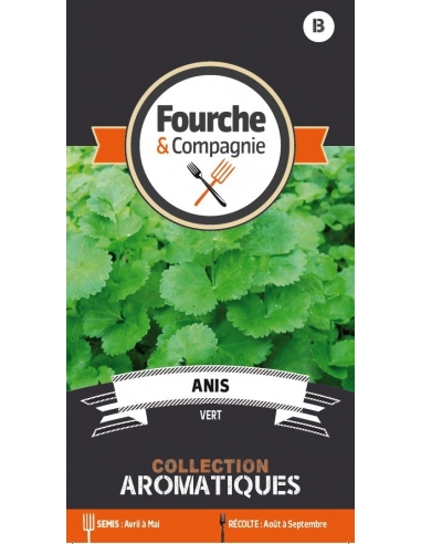 Anis vert - Fourche & Compagnie Fourche et Compagnie Graines aromatiques