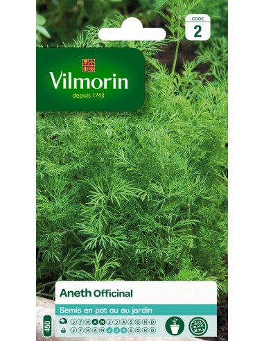 Aneth officinale - Vilmorin Vilmorin Graines aromatiques