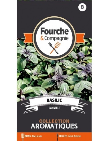 Basilic cannelle - Fourche & Compagnie Fourche et Compagnie Graines aromatique