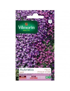 Aubriétia varié - Vilmorin Vilmorin Graines de plante fleurie