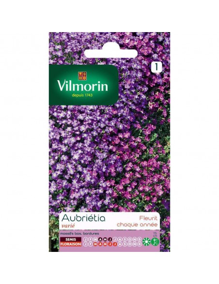 Aubriétia varié - Vilmorin Vilmorin Graines de plante fleurie