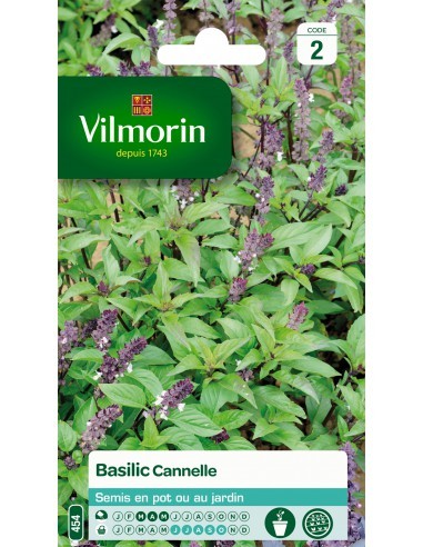 Basilic cannelle - Vilmorin Vilmorin Graines aromatique